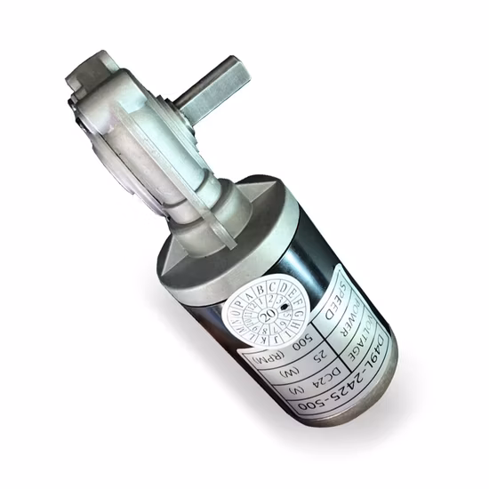 DC 영구 자석 전동기 24V 고토크 창 조절기 모터 D49d1-2450-150