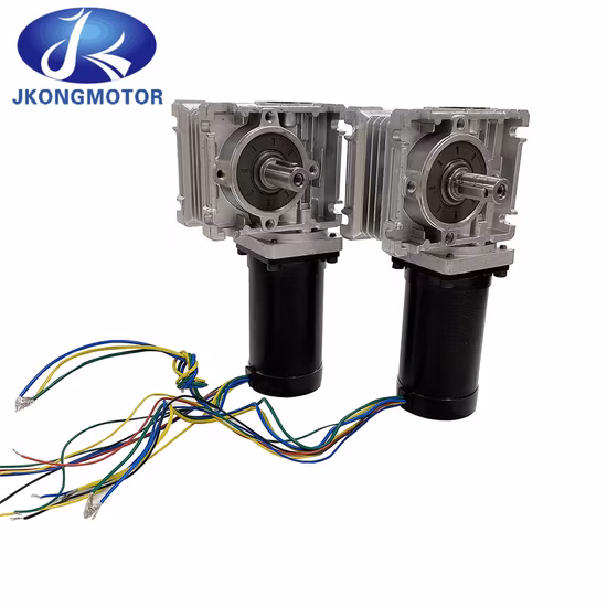 24V, 36V, 48V, 57mm, NEMA 23, 고토크 윈도우 레귤레이터, 웜 속도 감소, DC 기어박스, BLDC, 브러시리스 DC 모터